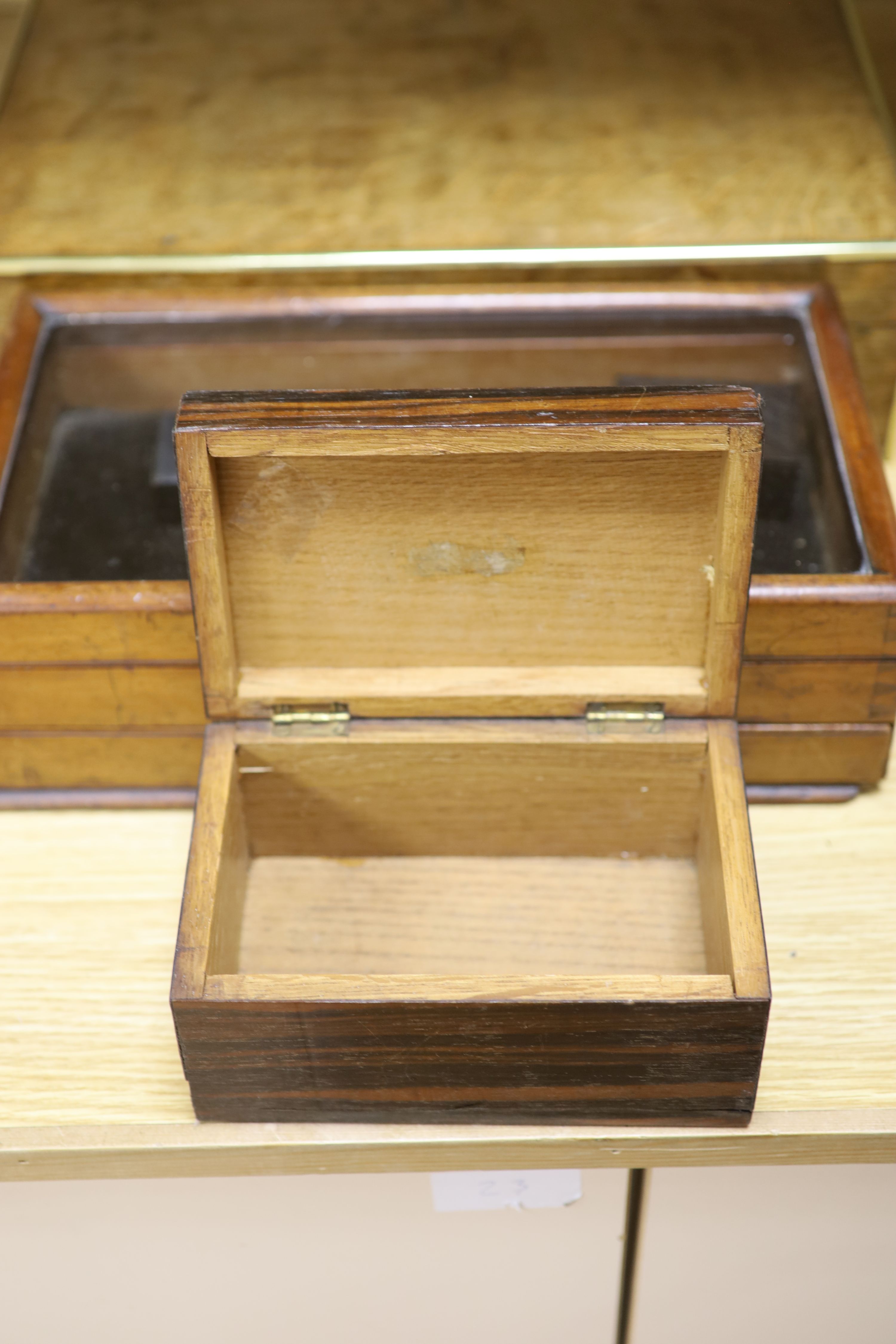 A display box, three snuff boxes, a Victorian brass bound oak document box and a coromandel box